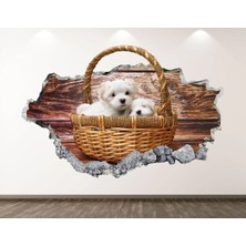 Kanvassepetinet Full Hd Baskı 3D Modern Duvar Sticker