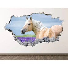 Kanvassepetinet Full Hd Baskı 3D Modern Duvar Sticker
