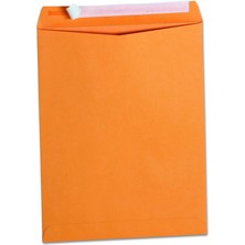 Pull & Seal Katalog Zarf, 10 x 13, Güç, 100/BOX, Sold As 1 Box