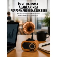 Kablosuz Retro Radyo Hoparlör 5W Güçlü Ses USB Hafıza Kart Destekli Yeni Nesil Midastech