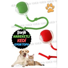 Yenilig Hareketli Kuyruk ve Işıklı Tasarımıyla Eğlenceli Şarjlı Kedi-Köpek Oyuncağı