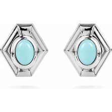 Venüs Design Çelik Agata Küpe