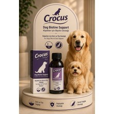 Crocus Köpekler Için Deri ve Tüy Desteği Biotin Damla 100 ml