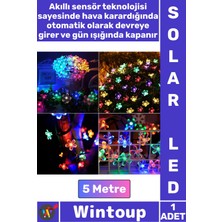 Wintoup #solarled Güneş Enerjili Bahçe Aydınlatma Dekoratif Solar Papatya Rgb 8 Fonksiyonlu 5 Metre 50 LED