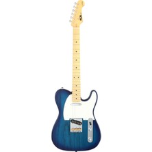 Fujigen Telecaster Elektro Gitar NTE100MAHSBB
