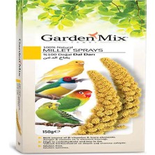 Uravas Store Platin Sarı Dal Darı 150 gr