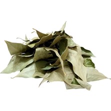 Uravas Store Defne Yaprağı 80 gr Paket