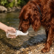 Patikadan | Taşınabilir Köpek Su Matarası