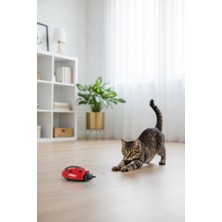 Runaway Uğur Böceği Hareketli Kedi Oyuncağı Kurmalı