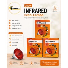TNYVET Kızılötesi Isıtıcı Lamba 250 Watt Kırmızı Renkli Ampul - 3 Adet