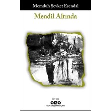 TeknoKapsül Mendil Altında