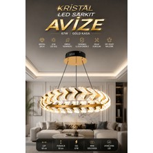 Elvora Home Modern (Premium) Kristal Ledli 67W Şık Gold Kasalı Dekoratif Sarkıt Avize Salon Yemek Odası Mutfak Oturma Odası Avizesi Modelleri