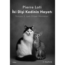 Vapur Yayınları Iki Dişi Kedinin Hayatı