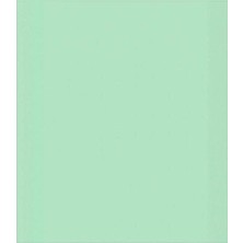 Adel Fon Kartonu 50*70CM 160GR Açık Yeşil 4342028001