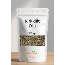 Mucize Tıp Kırkkilit Otu Kurusu Dökme 25 gr