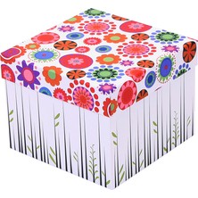 Decobox Dekoratif Hediye Kutusu (20X20X16 Cm)