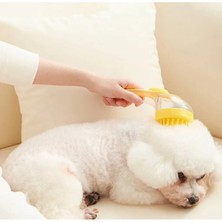 Veyron Pet Veyronpet Sıvı Hazneli Silikon Kedi Köpek Tarağı Şampuan Hazneli Masaj ve Banyo Fırçası