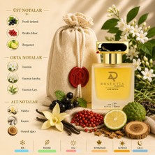 Rosentia Luxe Edition LX62 Donna Born In Roma Muadili Kadın Parfümü 50ML Edp