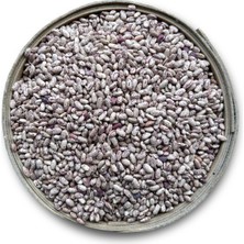 Kanıtemiz Yerli Barbunya 1 kg