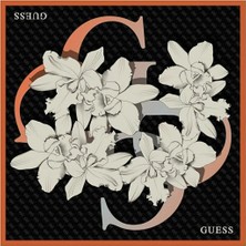 Guess 90X90 Square Kadın Ipek EŞARP-AW5762SIL90