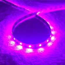 PINUKS HGT-HT1845 Şerit LED Dış Mekan 5050 12V 5mt 3 Çipli M/60 300 LED Pembe Ithal Premium