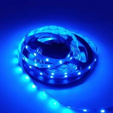 PINUKS HGT-HT1840 Şerit LED Dış Mekan 5050 12V 5mt 3 Çipli M/60 300 LED Mavi Ithal Premium