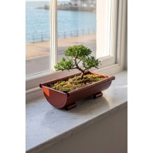 Desen Dekorasyon Metal Dikdörtgen Bonsai ve Sukulent Saksısı 31 cm - Vintage Ayaklı Dekoratif Çiçeklik Saksı