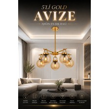 Elvora Home Modern (Premium) Gold Camlı 5'li Avize Bal Rengi Küre Cam Salon Mutfak Yatak Odası Avizesi Modelleri 5XE14 Duyulu