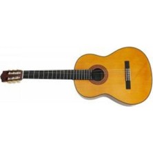 Klasik Gitar Için Taşıma Kılıfı Hediye ile Koruma Sağlayın