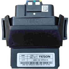 Beyin (Euro 5- C9521A) (Max-T Easy Arora)