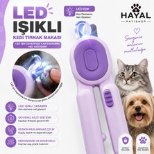 Hayal Patishop LED Işıklı Kedi Köpek Tırnak Makası Güvenlik Kilitli 3'ü 1 Arada