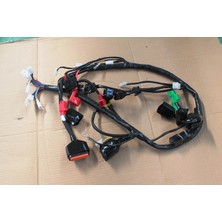 Elektrik Tesisatı (Euro 5) (MT125 Arora)