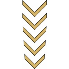 Belirtilmemiş Cg Gold Çamurluk Üst Sticker