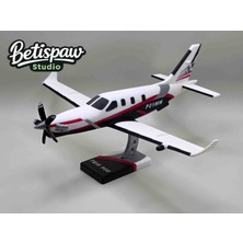 Betispaw Studio Tbm 900 Model Maket Uçak Kiti Havacılık Tutkunları Için