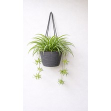 Nomikase Dekoratif Çiçek Sepeti, 20X18 cm Saksı ve Bitki Organizeri
