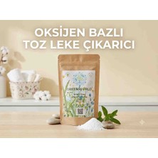 Green World Natureclean Oksijenli Toz Leke Çıkarıcı 250G