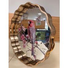 Plus Home Tepsi Ahşap ve Ayna Detaylı Pembe Kuş Desenli Volanlı Yuvarlak Model Büyükboy Renk Antik Eskitme Çap 40 cm