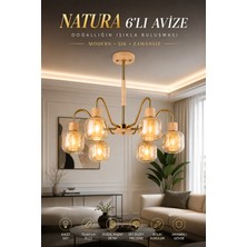 Elvora Home Modern (Premium) Doğal Ahşap Detaylı Gold Gövdeli 6'lı Amber Camlı Modern Avize 6XE27 Duylu