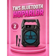 Ronanna Buğz Taşınabilir 6.5” Bluetooth Hoparlör USB Tf Kart Mikrofonlu Şarjlı Sistem