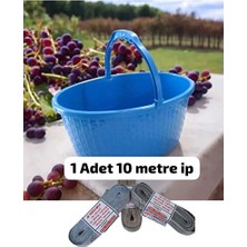 Vaelmont Pratik Plastik Meyve Sepeti ile Balkon ve Bakkal Düzeni