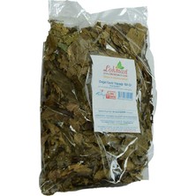 Hobibahçem Ceviz Yaprağı Doğal 100 gr Paket
