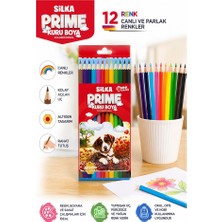 ArtMaster 12 Li Kuru Boya Kalemi Karton Kutu 1 Paket Silka 12 Renk Kuruboya Tam Boy Canlı Renkli Boya Kalem Okul Öğrenci