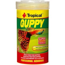 Aesco Guppy 100ML 20GR Lepistes Için Pul Yem