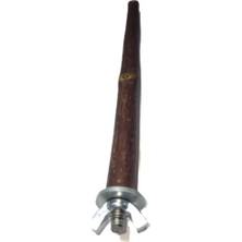 Aesco Doğal Dal Kuş Tüneği, Ahşap Kuş Dalı, Metal Bağlantı Aparatlı Tünek (26 Cm.)