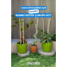 Aesco Bitki Fidan Saksı Destek Kazığı 10 Adet 30CM Bambu Destek Çubuğu Seti