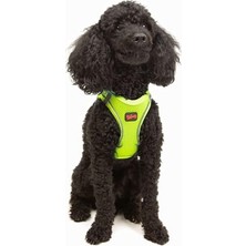 Aesco Tailpetz Air-Mesh Küçük ve Orta Irk Kedi Köpek Göğüs Tasması - Yumuşak, Nefes Alabilir, Dayanıklı (Neon-Sarı, Xsmall)