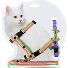 Aesco Kedi Göğüs Bel Gezdirme Takımı Boyun Tasma Hediyeli