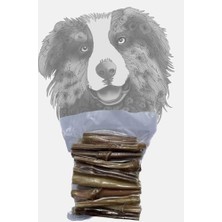 Aesco Bully Stick - 25'li Dana Penisi Avantaj Paketi Köpek Ödül Sı