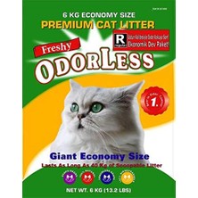 Aesco Odorless Premium Kristal Kedi Kumu 15 L, Ekstra Emici Silika Jel, Kokuya Karşı Etkili, Beyaz Tanecikli Ekonomik Paket