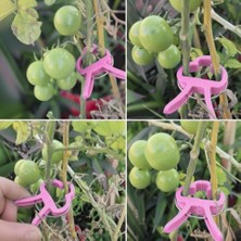 Aesco Bitki Bağlama Destek Mandalı 10 Adet Mini Boy (Pembe)